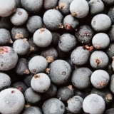 Kako zamrznuti crnu ribizlu